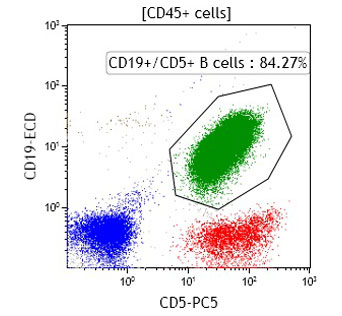 CLL
