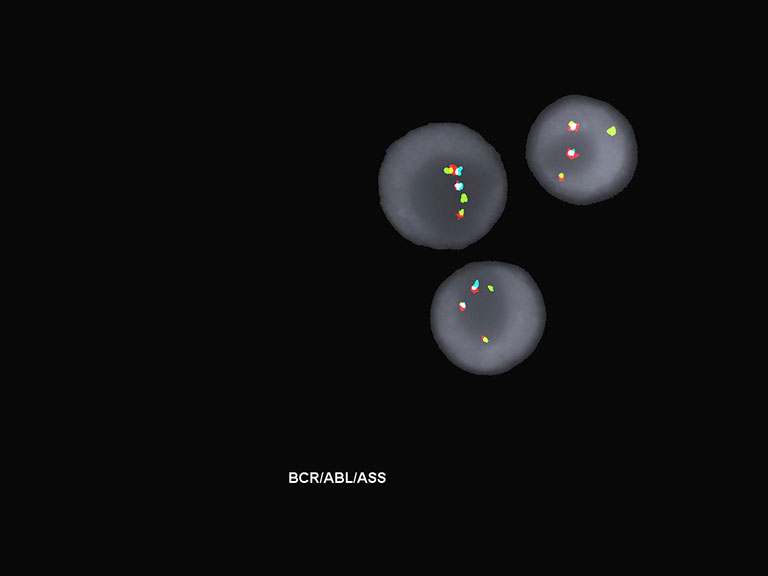 Molecular Path